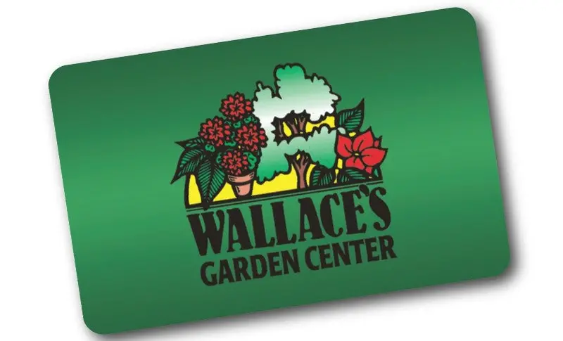 Physical Gift Card – Instant Purchase 1